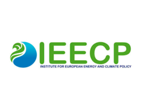 IEECP - Institute for European Energy and Climate Policy